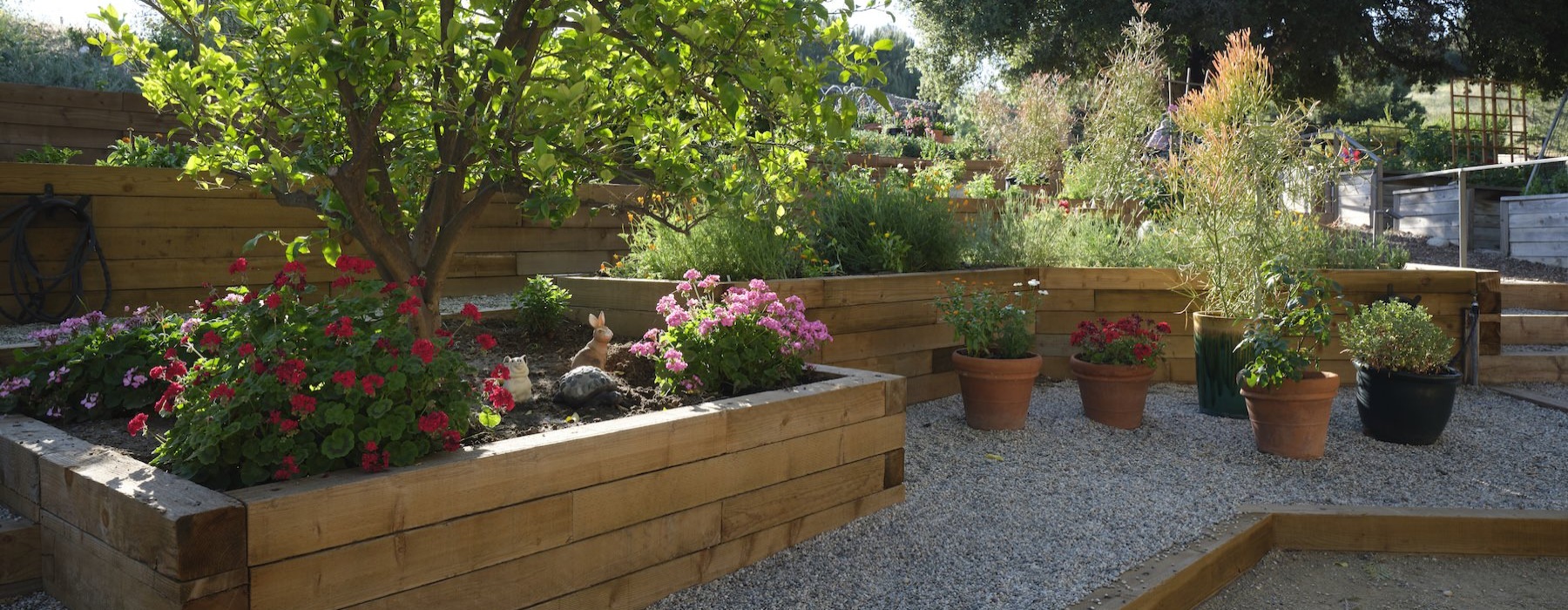 a group of potted plants