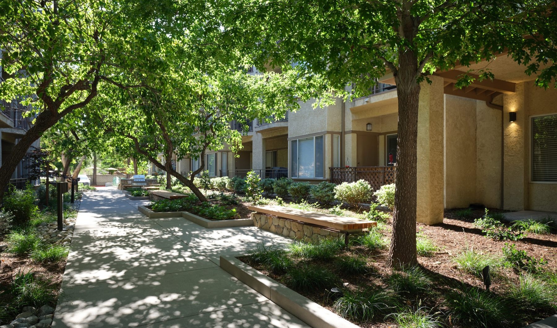 a walking path with trees by a building